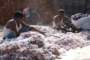 2022年世界棉花日:历史、意义、主题、用途、效益