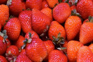 Strawberry cultivation picking up in J&K